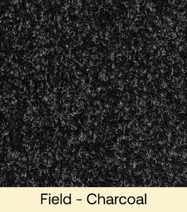 Field - Charcoal
