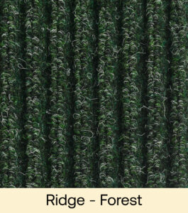 Ridge - Forest