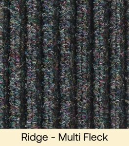Ridge - Multi Fleck