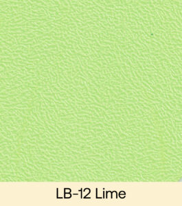 LifeBlend-Swatch_LB-12_Lime